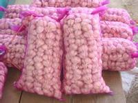 ����轿h�S������Q������