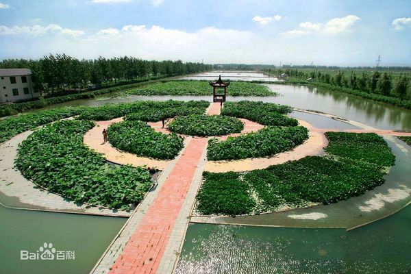 ����(y��ng)���P���μ�ɢ����