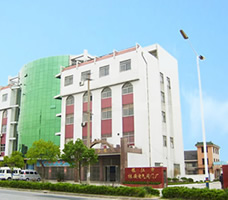 悽�����늚��y�T�S