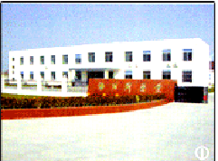 ��ͨ����˹�t(y��)ˎ���޹�˾