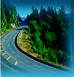 �����M���������޹�˾��ɽ�ֹ�˾