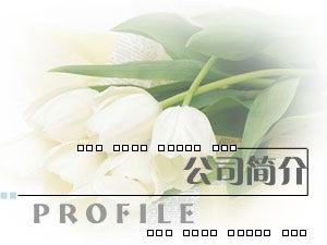 �o�a��˹�v�Դ���޹�˾