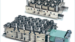 ʳƷ�����ģ��