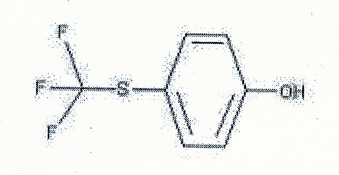 ��(du��)�������������