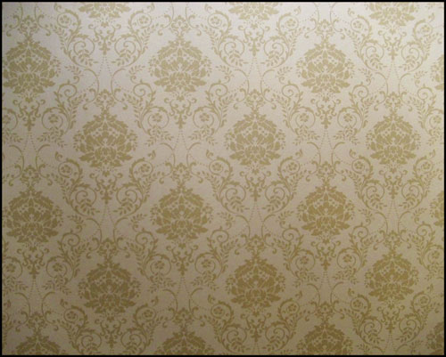 �������H����չʾ4