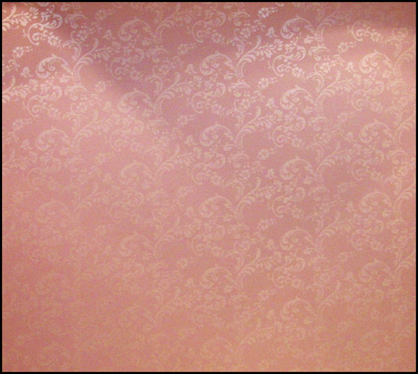 �������H����չʾ3