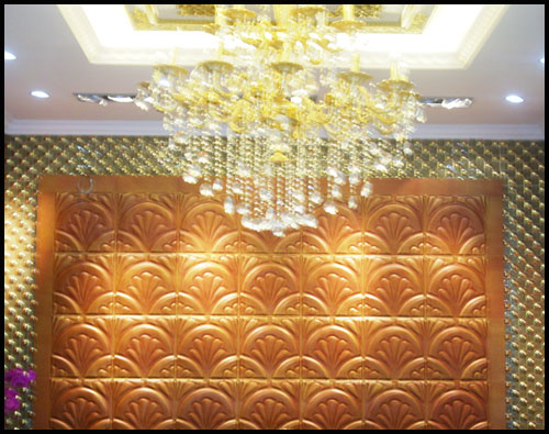 �������HƤ��չʾ2