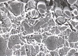 Desmear Process : ( ���z���Ƴ� )