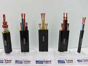 ��Ƥ�^����|