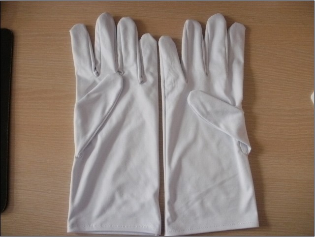 ���L�����w�S����