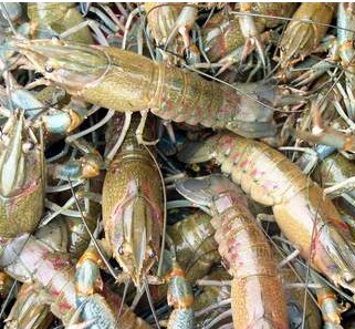 �������r