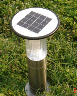 ̫��ܲ�ƺ��4