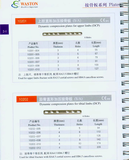 �ӹǰ�ϵ��20