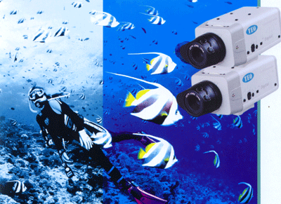 �O(ji��n)��3